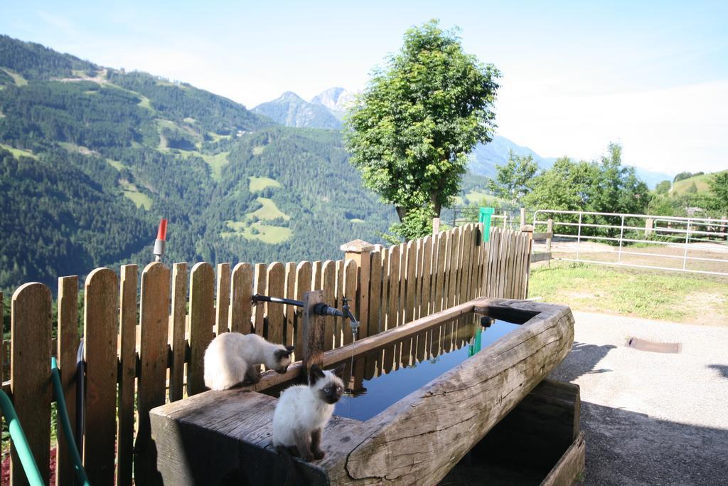 Bauernhaus Bichl Sankt Johann im Pongau Extérieur photo